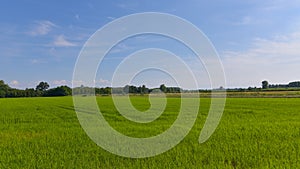 Ountryside landscape, with green lawn