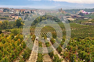 Ountryside town of elciego and autumn vineyards in la rioja, Spain