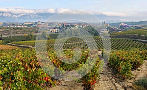 Ountryside town of elciego and autumn vineyards in la rioja, Spain