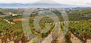 Ountryside town of elciego and autumn vineyards in la rioja, Spain