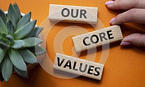 Our core values symbol. Concept words Our core values on wooden blocks. Beautiful orange background with succulent plant.