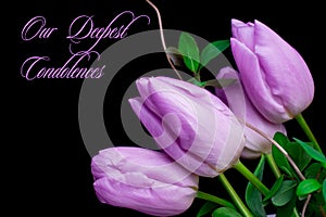 Our deepest condolences. Tulips on black background with text photo