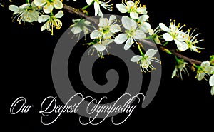 Our deepest condolences.white flowers on black background with text