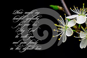 Our deepest condolences.white flowers on black background with text photo