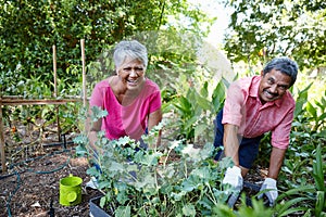 Our garden is grown with love. a happy senior couple gardening together in their backyard.