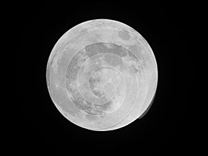 Our gorgeous moon photo