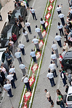 Our Lady of Desterro Procession 73