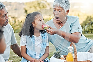 Our most basic instinct is family. a senior woman feeding her grand daughter some watermelon at a picnic.