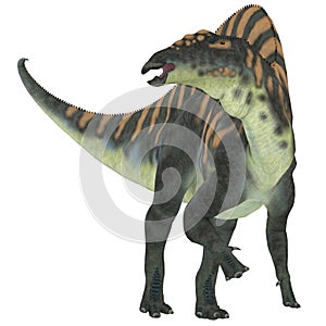 Ouranosaurus Herbivore Dinosaur