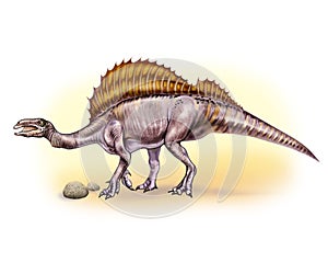 Ouranosaurus nigeriensis, realistic drawing
