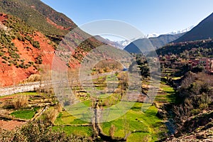 Ourika valley green fields