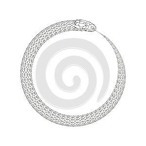 Ouroboros, linear snake, black symbol of the year 2025. Vector isolated white background.