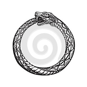 Ouroboros. Snake eating its own tail. Eternity or infinity symbol