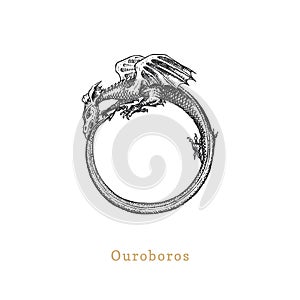 Ouroboros, vector illustration in engraving style. Vintage pastiche of esoteric and occult sign. Drawn sketch.