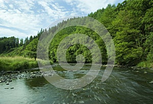 The Ourthe river running wild surrounded by green forest. photo