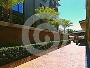 Out door shopping mall in Tampa Florida under a bright blue sunny sky