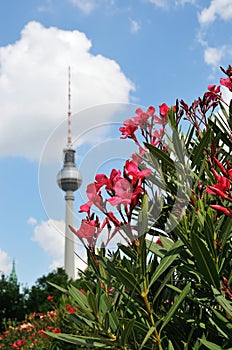 Out of focus berlin television tower in summer photo