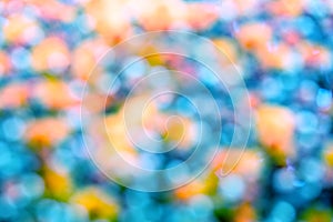 Out of focus natural floral bokeh background