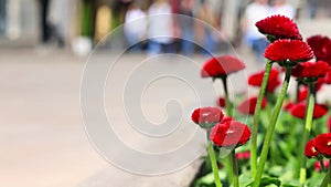 Out of focus scene of people walking on the sidewalk.