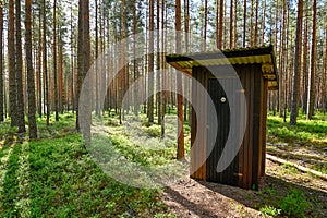 Out house in a forest of pine trunks