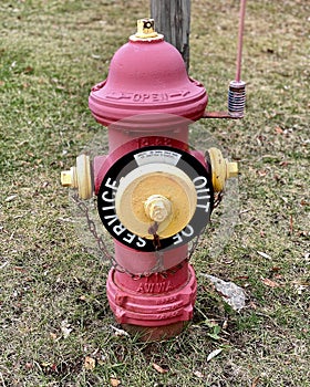 An out of service fire hydrant