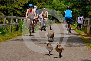 Out for a stroll on a local rail trail