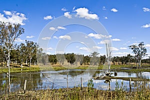 Outback Billabong, Queensland, Australia