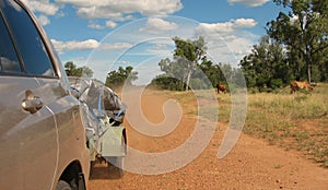 Outback Camping Holiday