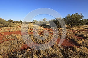 Outback Landscape - Australia