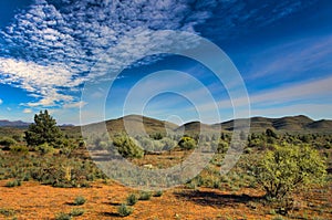 Outback landscape in the Flinders Ranges, South Australia