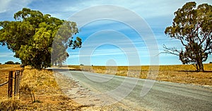 Outback at Narrandera Australia