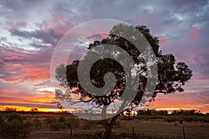 Outback sunrise landscape Australia