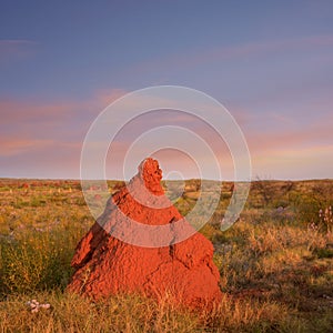 Outback Western Australia Giant Red Termite Mound Twilight Sunse