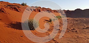 Outback Western Australia Gibson Desert extreme environment