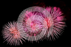 Outbreaks of festive pink salute fireworks