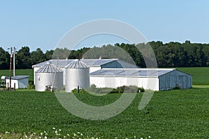 Outbuildings and Soybeans