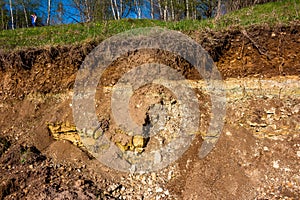 Outcrop of geological rocks. The bedrock is clay and limestone topped with Quaternary deposits