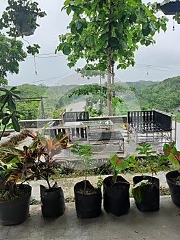 Indonesia - A outdood cafe with forest and big river view