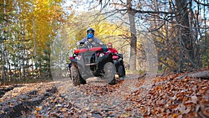 Outdoor activity - people walking in forest and sitting on ATVs