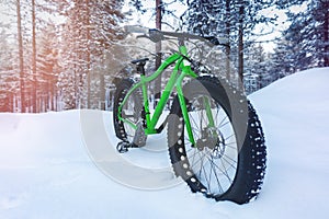 Outdoor adventures - fat bike standing in the snow in snowy forest