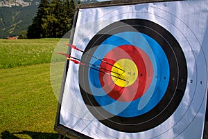 Outdoor archery target hit by 3 arrows