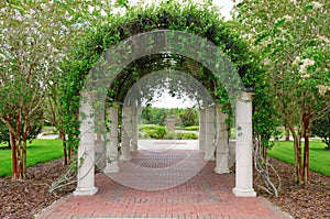 Outdoor archway with columns and vines on lattice