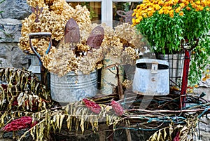Outdoor Autumn Display of Flowers and Gardening Tools