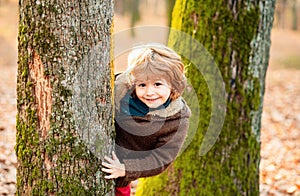 Outdoor autumn kids portrait. Cute little kid boy enjoying climbing on tree. Child in autumnal clothes learning to climb