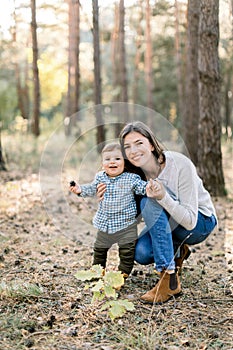 Outdoor autumn portrait of young pretty woman mother posing in autumn pine forest with her lovely cute little son