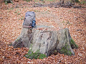 Outdoor backpack next to a tree trunk with green mossin the forest. Hiking excursion concept