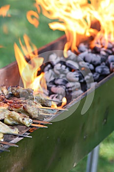 Outdoor Barbecue Grill