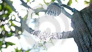 Outdoor beach shower with fresh water on beautiful blue sky background through the sunshine with leaves and lens flare