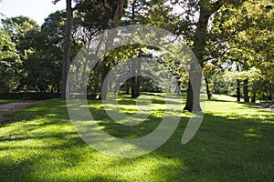 Outdoor, beautiful park with leafy trees