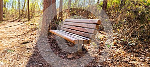 Outdoor bench in the park close to the tree under sunlight